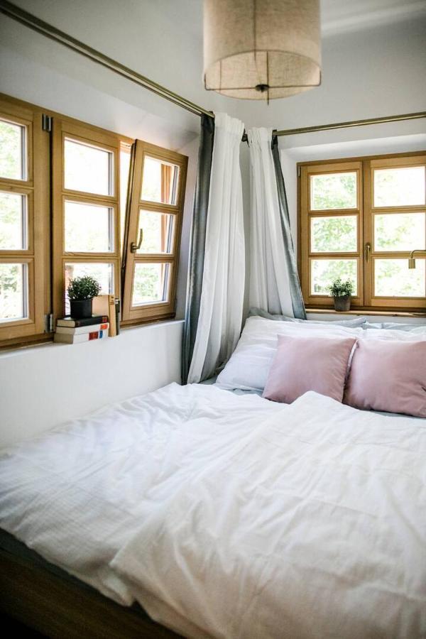 באד אאוסי Apartment Aussee- Beletage Salzherrenhof- Kueche, Wlan, Netflix מראה חיצוני תמונה